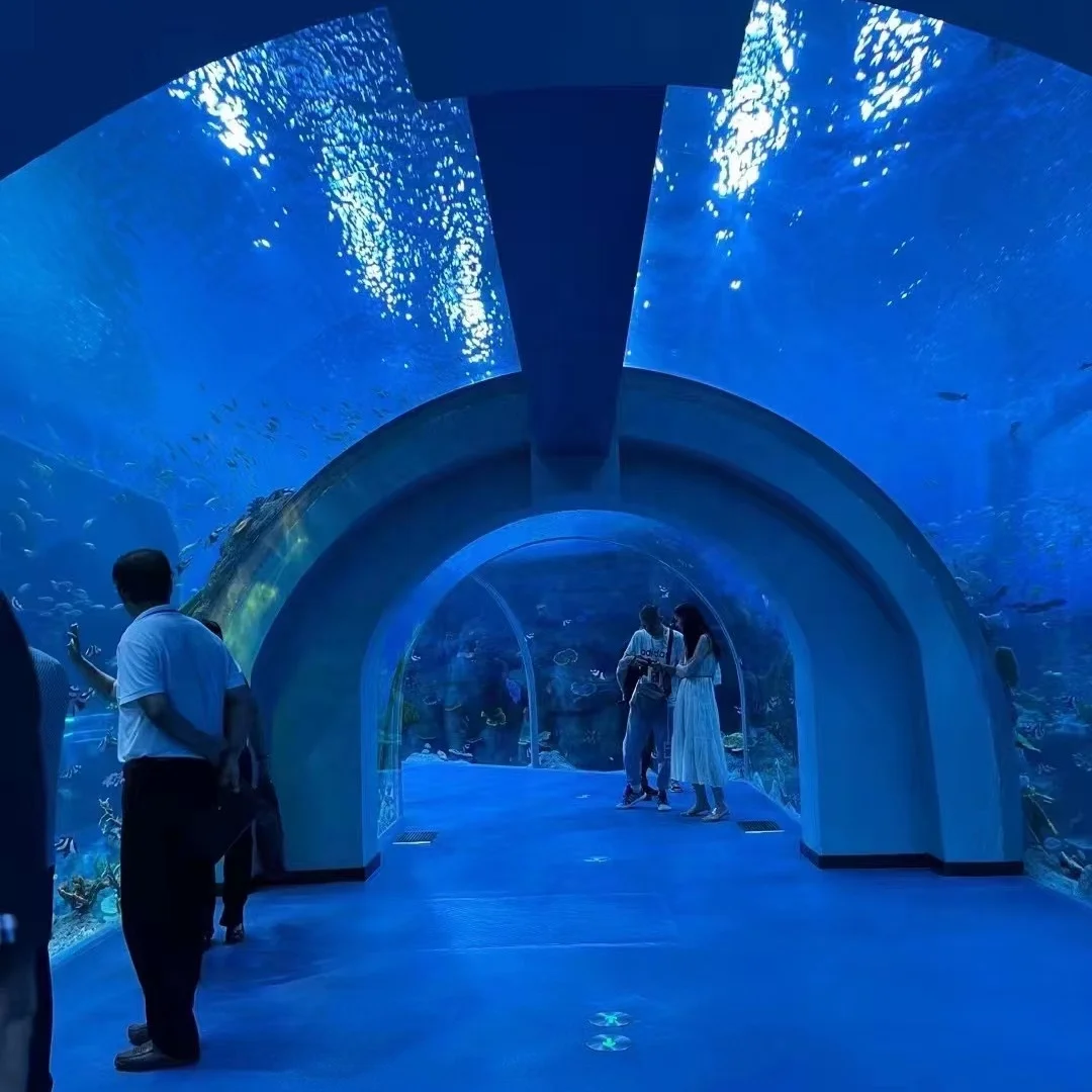 2023 Lucite Material Acrylic Glass Tunnel Aquarium Project 1