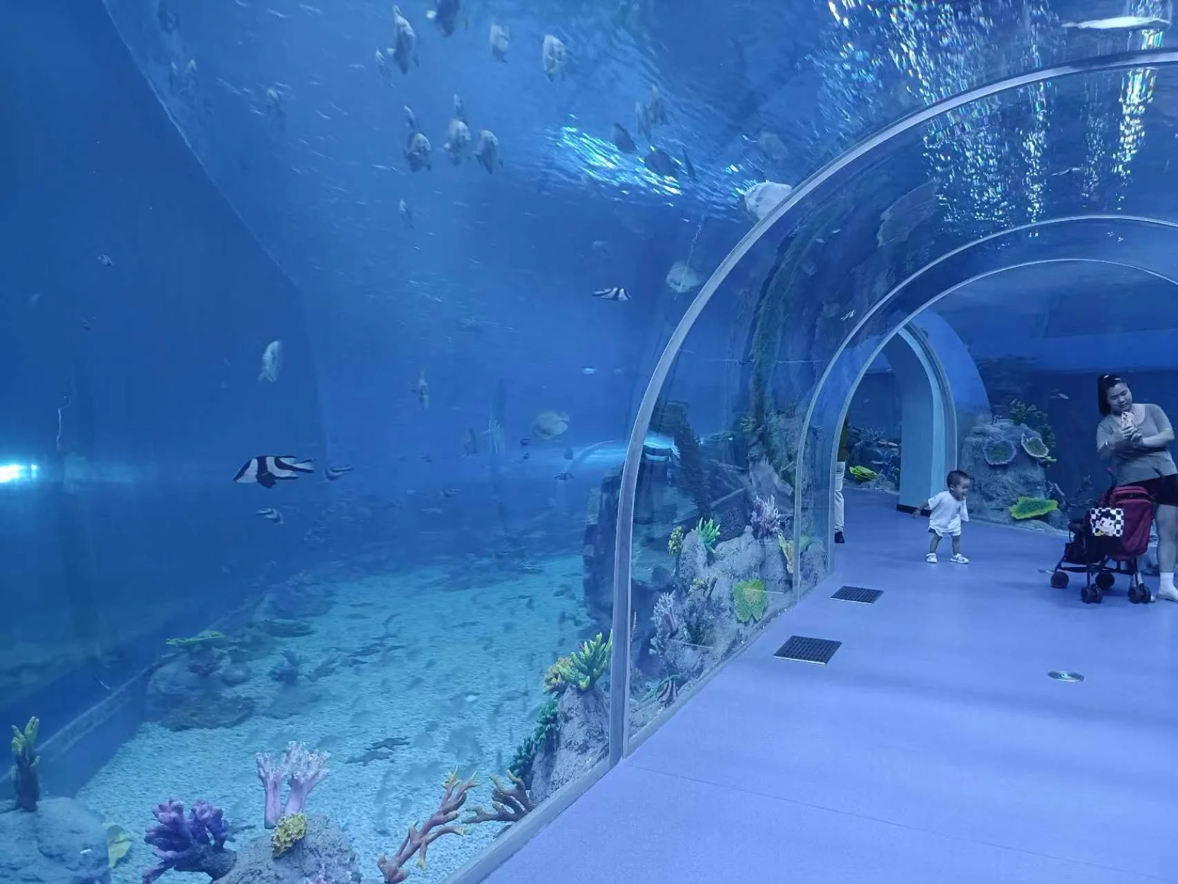 Tunnel Aquarium Customer's Demand - - Xchacrylic-1 7