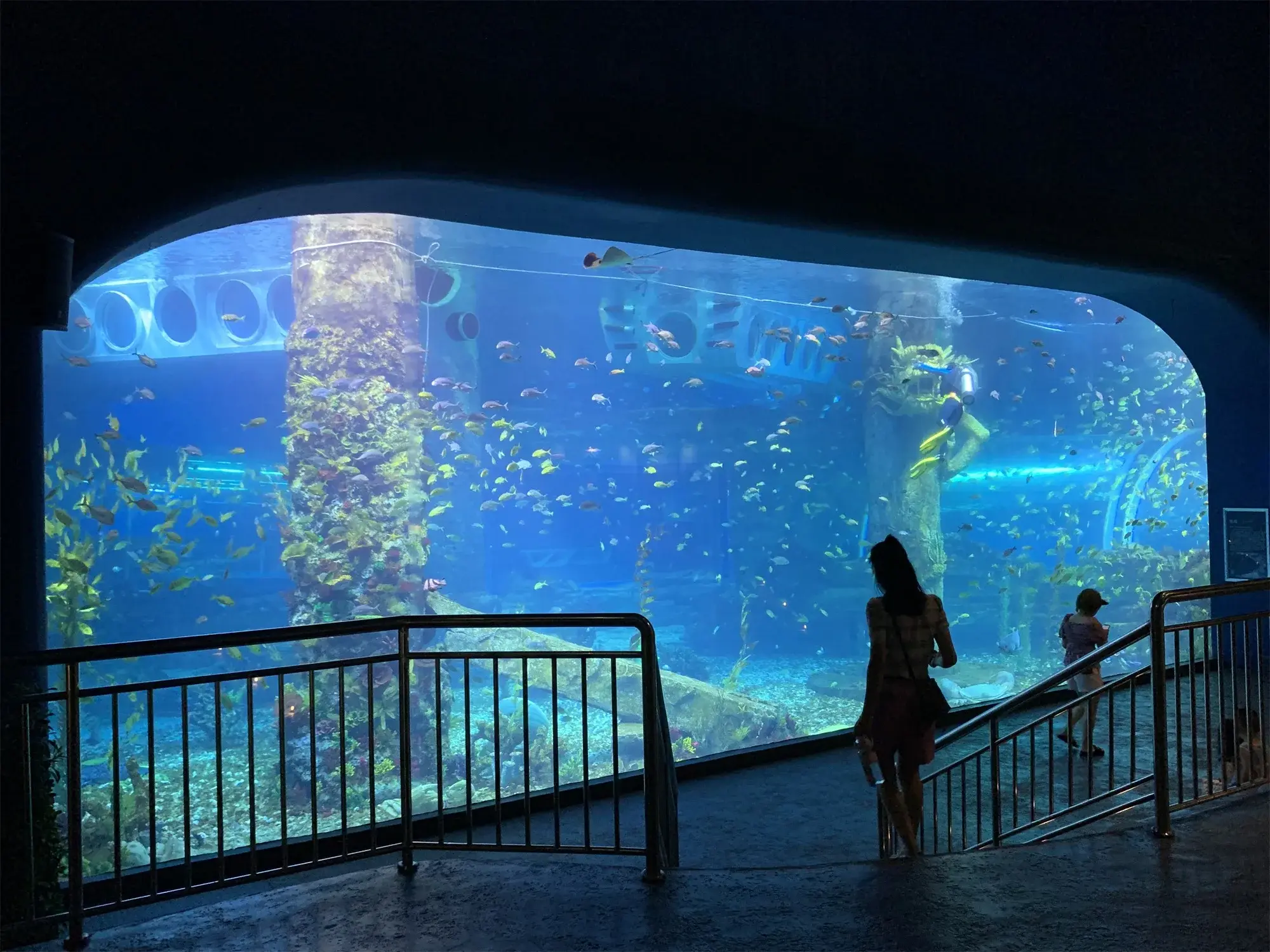 Underwater Tunnel Aquarium Live Aquarium Fish by Xchacrylic 5
