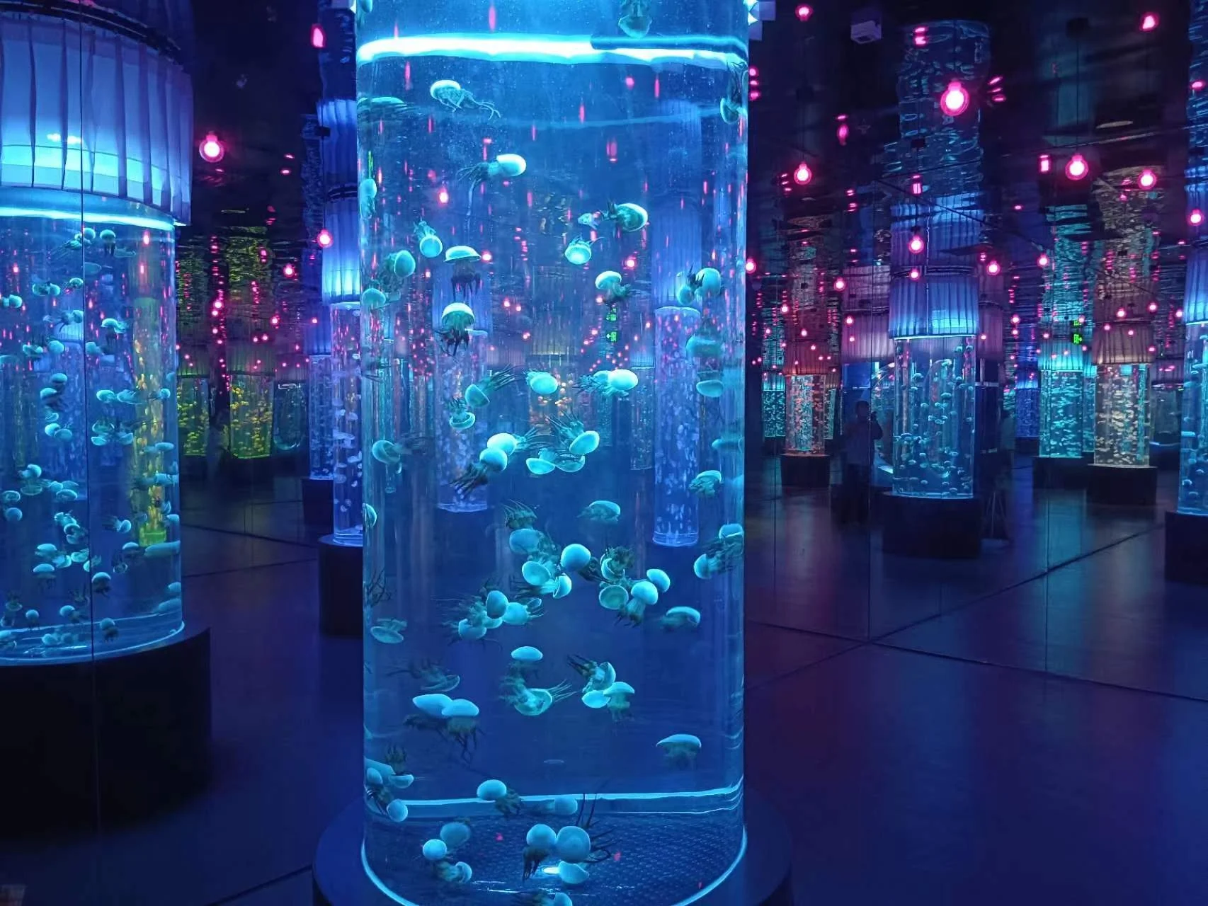 50 Gallon Acrylic Fish Tank Clear - - Xchacrylic 3
