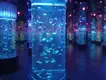 Acrylic Fish Tank Supplier Clear by Xchacrylic 3