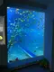 Custom Built Acrylic Aquariums Customer's Demand by Xchacrylic 6