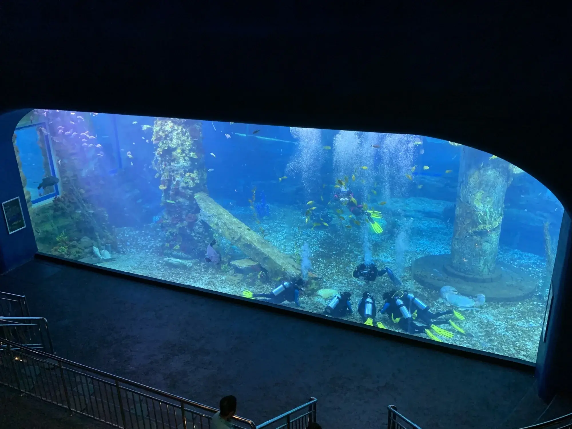 Custom Built Acrylic Aquariums Customer's Demand by Xchacrylic 3