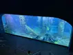 Custom Built Acrylic Aquariums Customer's Demand by Xchacrylic 3