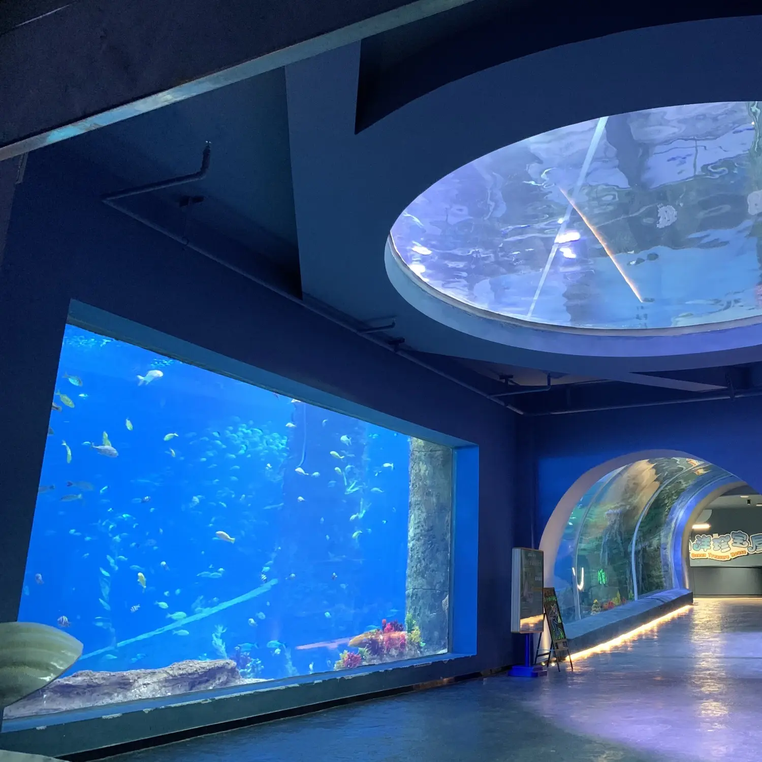 Custom Built Acrylic Aquariums Customer's Demand by Xchacrylic 1