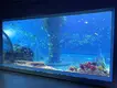 Custom Built Acrylic Aquariums Customer's Demand by Xchacrylic 5