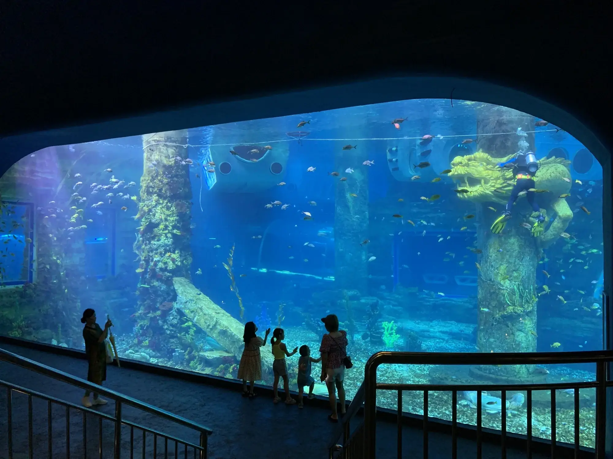 Custom Built Acrylic Aquariums Customer's Demand by Xchacrylic 7