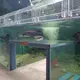 Custom Aquarium Tank Stocked by Xchacrylic 2