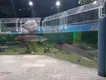 Custom Aquarium Tank Stocked by Xchacrylic 3
