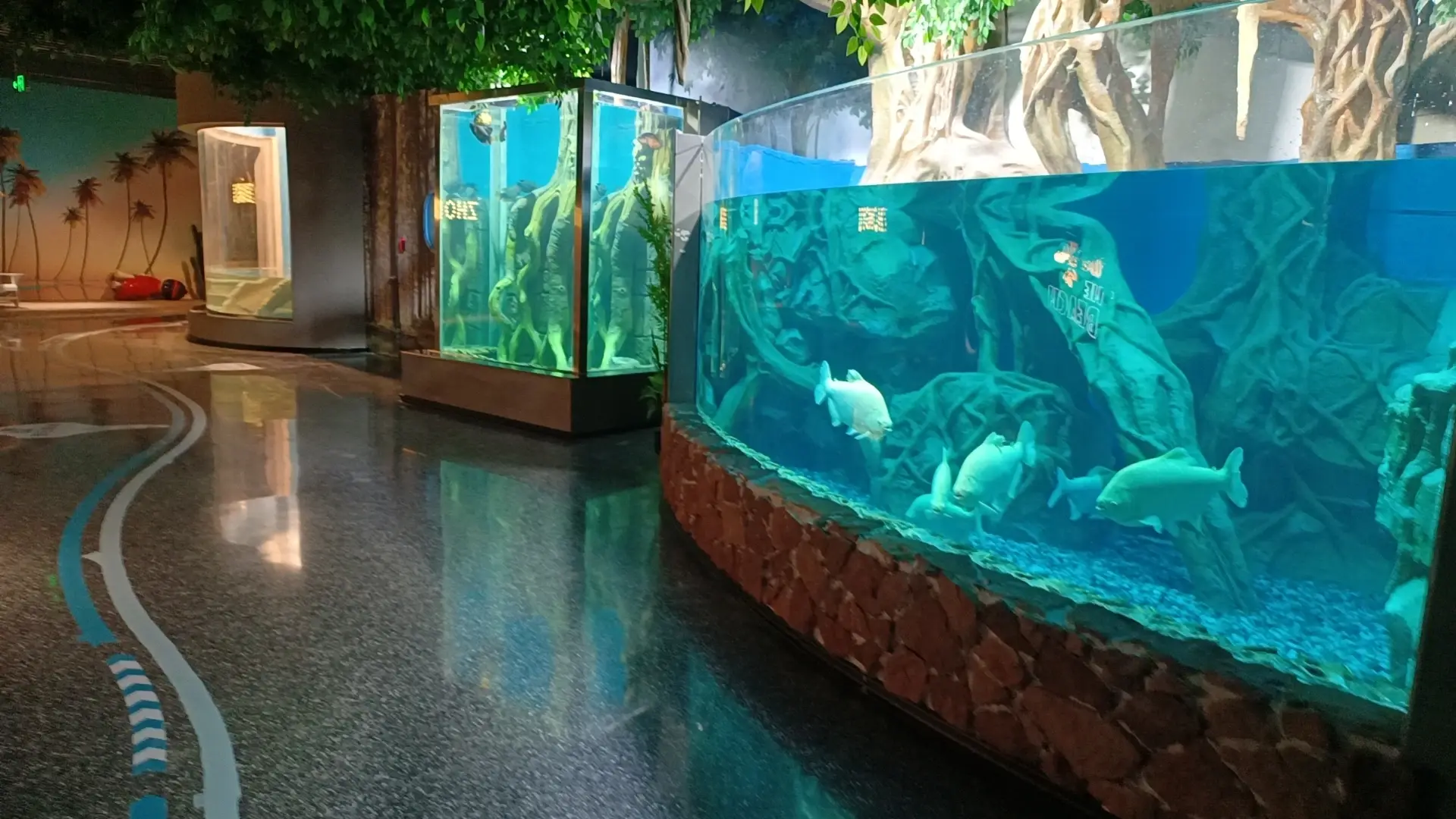 Custom Aquarium Tank Stocked by Xchacrylic 6