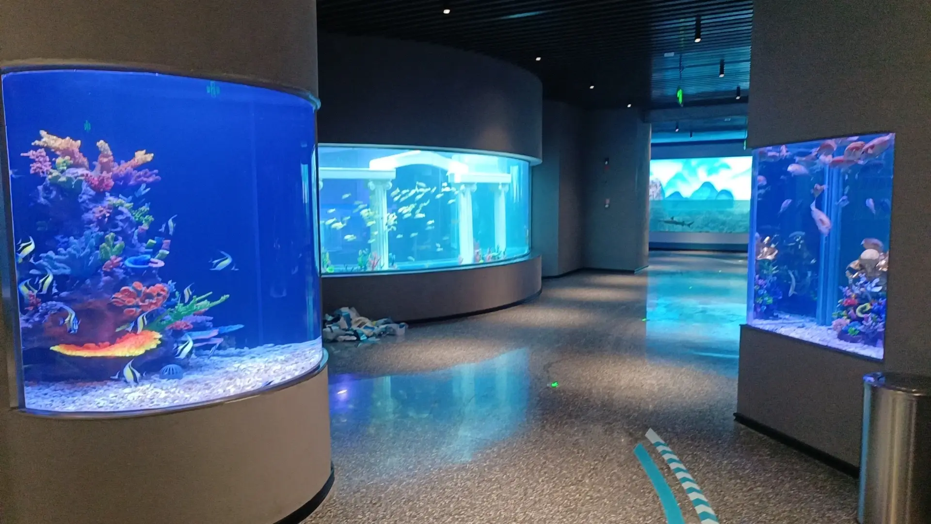 Large Acrylic Fish Tank Clear - - Xchacrylic 6