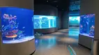 Large Acrylic Fish Tank Clear - - Xchacrylic 6