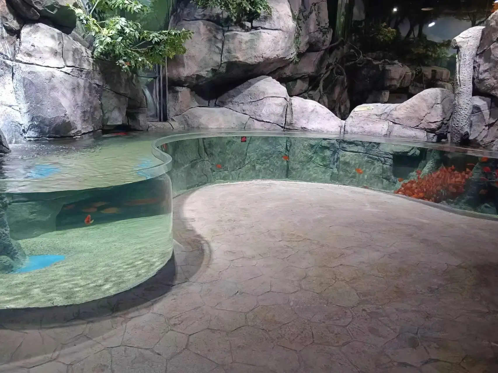 Large Acrylic Fish Tank Clear - - Xchacrylic 5