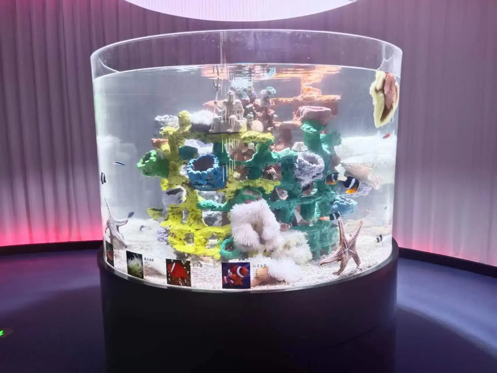 Large Acrylic Fish Tank Clear - - Xchacrylic 3