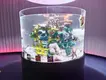Large Acrylic Fish Tank Clear - - Xchacrylic 3