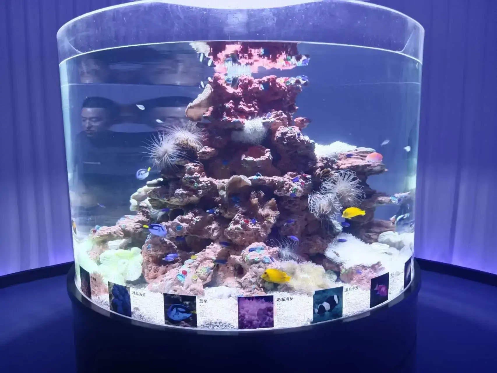 Large Acrylic Fish Tank Clear - - Xchacrylic 4