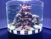 Large Acrylic Fish Tank Clear - - Xchacrylic 4