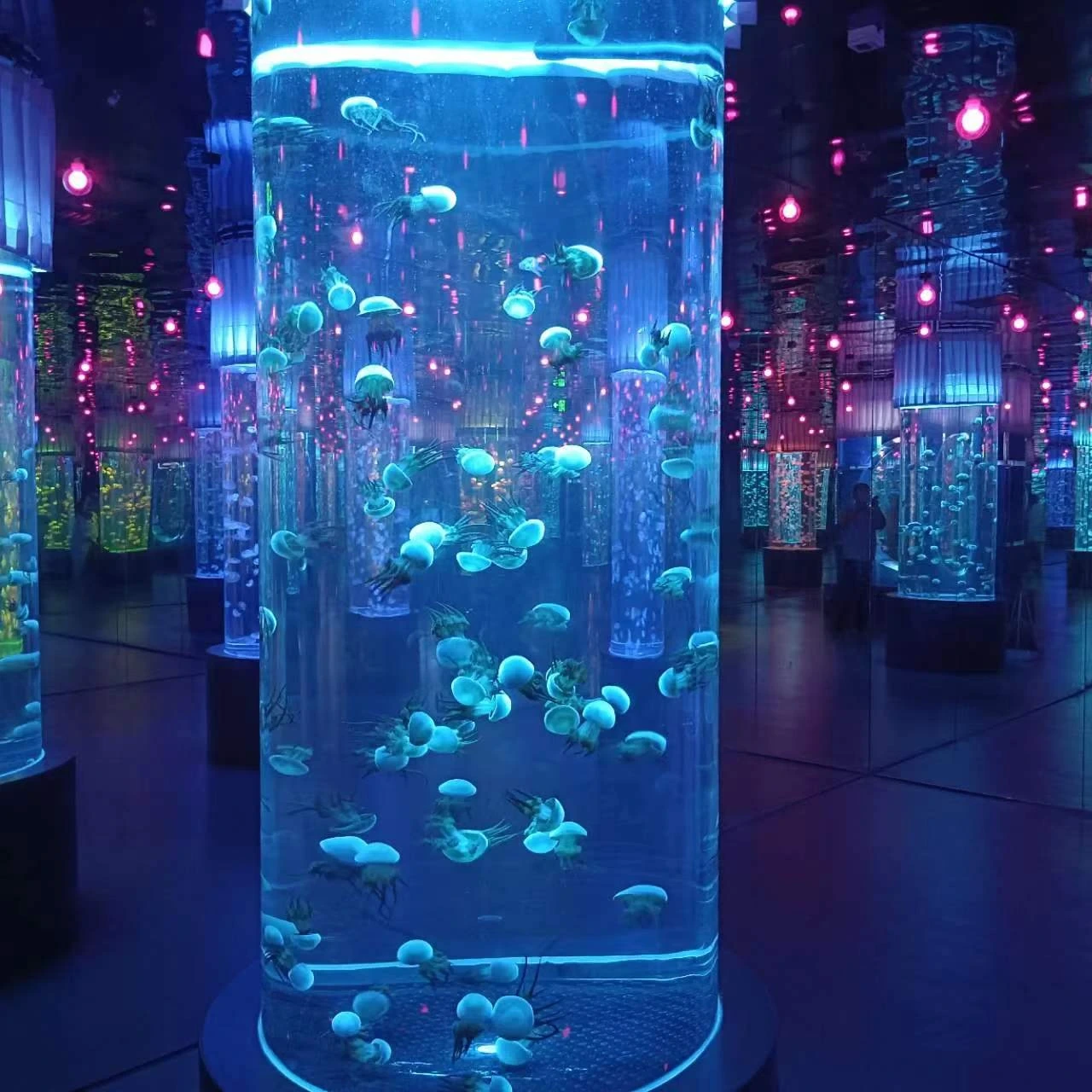 2025 acrylic fish tank for aquarium 1