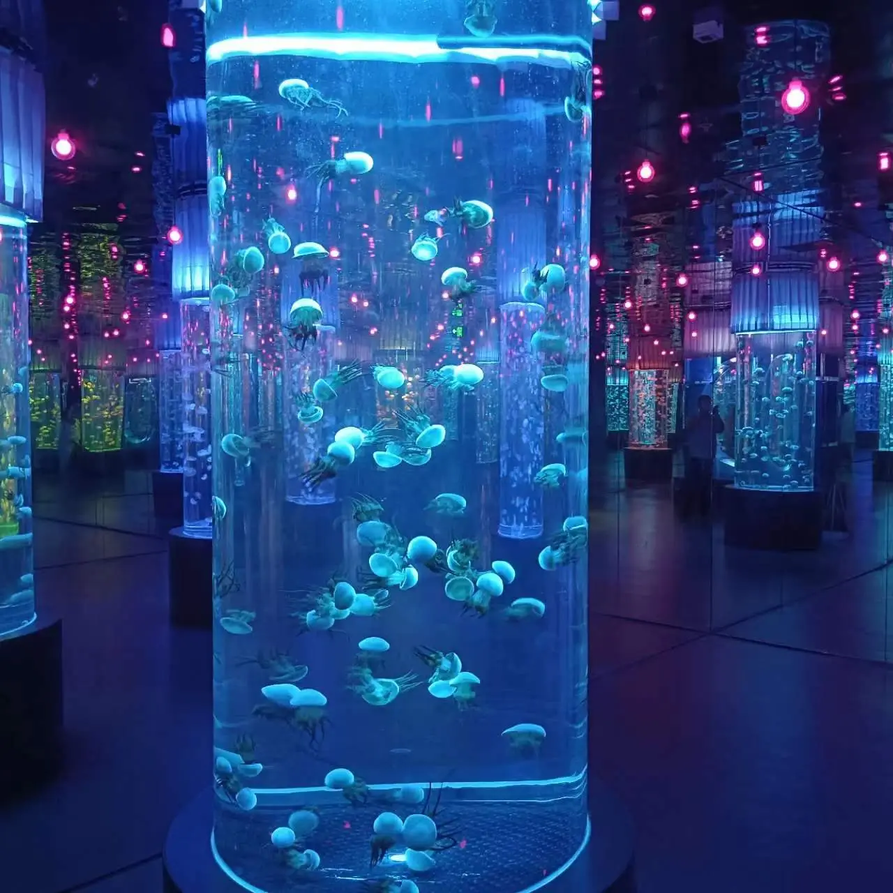 Large Acrylic Fish Tank Clear - - Xchacrylic 1