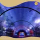 Hotacrylic Tunnels Acrylic Sheet Xchacrylic Brand 1
