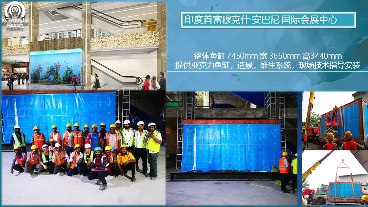 Bán chạy nhất Mẫu mới nhất Bể cá Acrylic trong suốt lớn Acrylic lớn 5