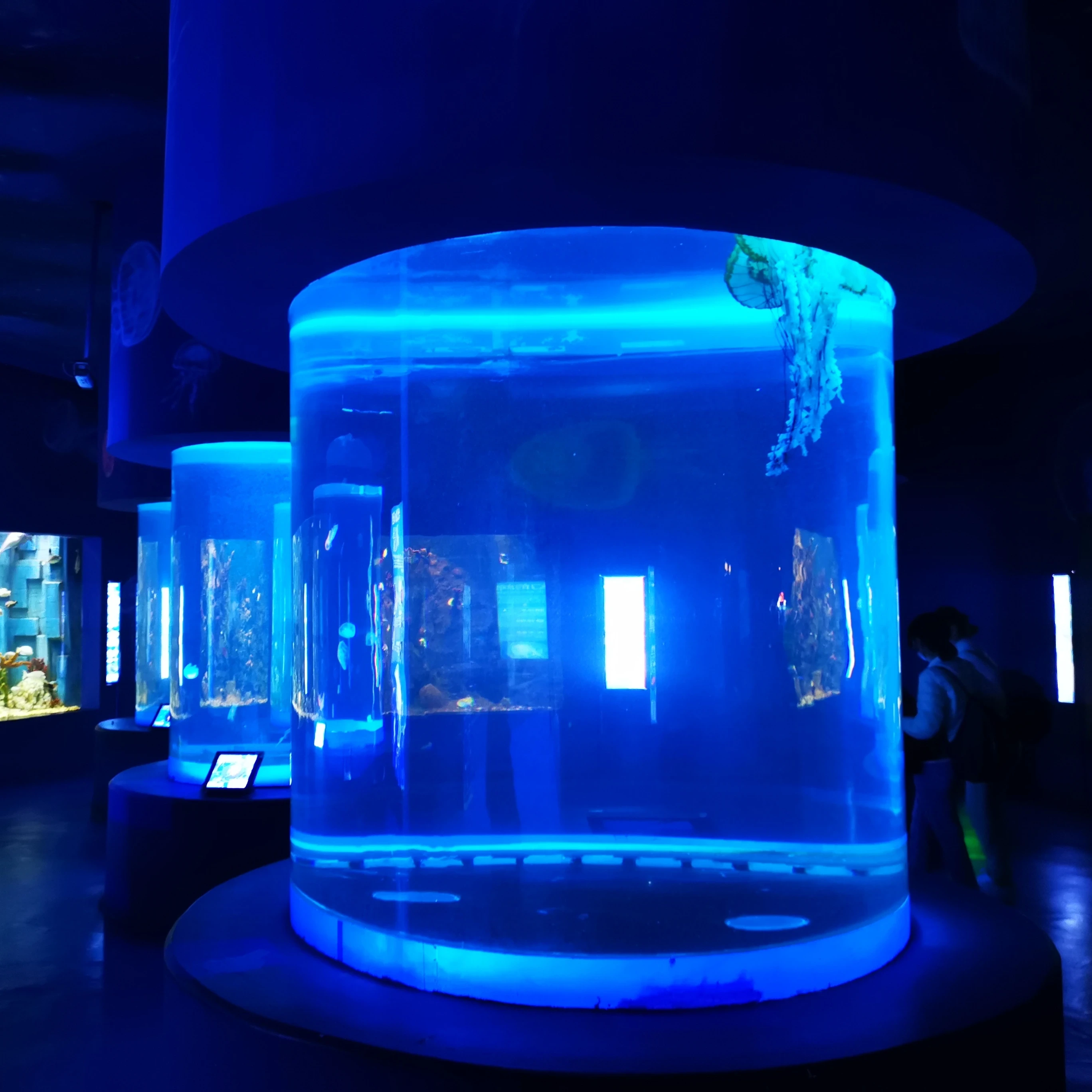 Hot Sell Latest Model Transparent Large Acrylic Aquarium Fish Tank Large Acrylic 1