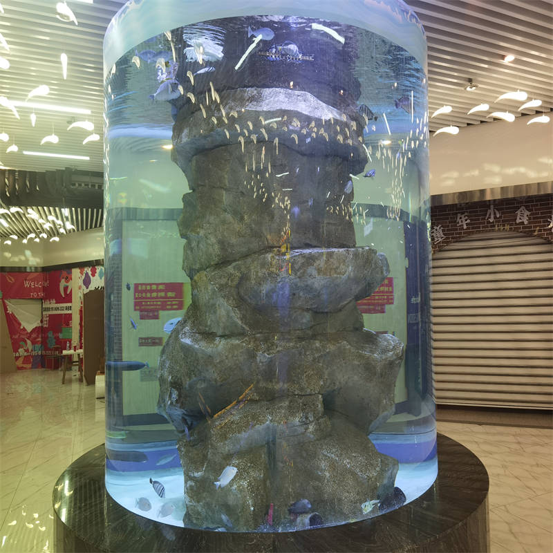 2025 acrylic glass cylinder fish tank aquarium 5