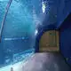 Aquarium Tunnel 93% by Xchacrylic 2