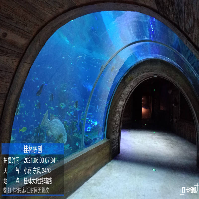 2025 customized acrylic tunnel for acrylic aquarium with the best price and quality 4