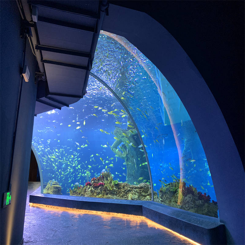 2025 transparent acrylic aquarium glass fish tank 8