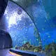 Aquarium Tunnel 93% by Xchacrylic 4