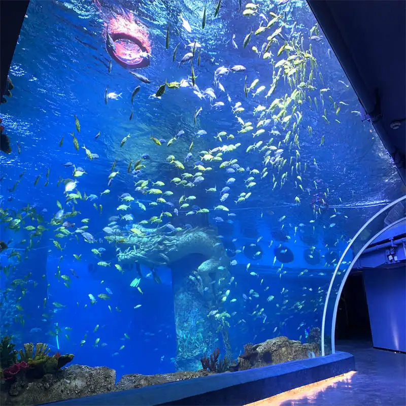 Aquarium Tunnel 93% by Xchacrylic 3