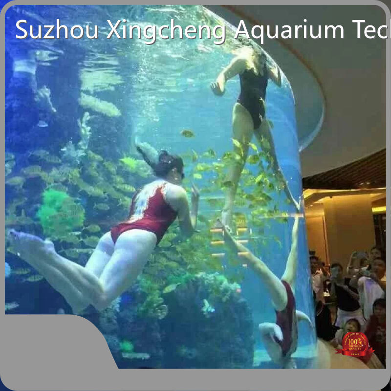 Custom Aquarium Tank Xingcheng Acrylic Cylinder - - Xchacrylic 1
