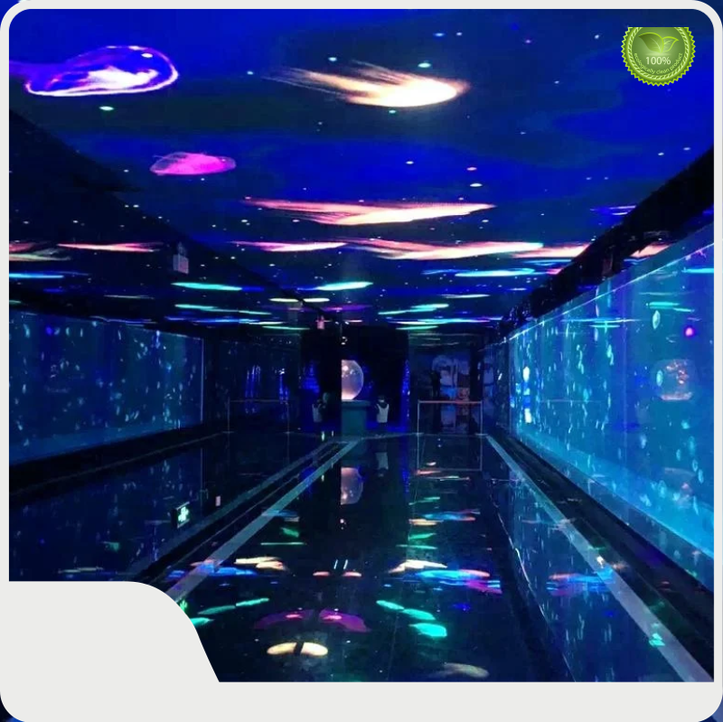 High-quality 100 Gallon Acrylic Aquarium ≥M Scale 90 Xchacrylic Company 1