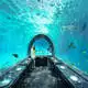 Acrylic Tunnels Sustainable 100% Imported Lucite After FilteringSupply 2
