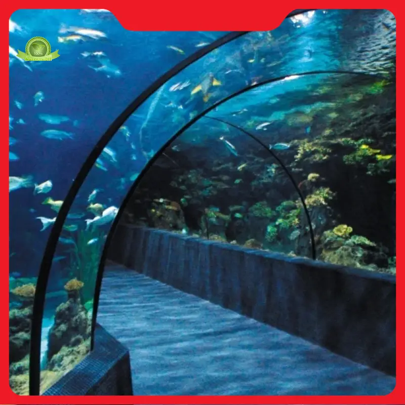 Custom Acrylic Tunnel Xchacrylic Manufacture 1