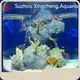 High-quality Acrylic Fish Tanks for Sale Xchacrylic Company 1