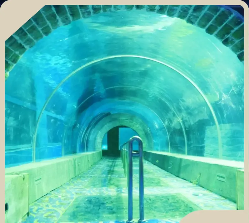 Acrylic Tunnels Xchacrylic Manufacture 1.19+0.01 1