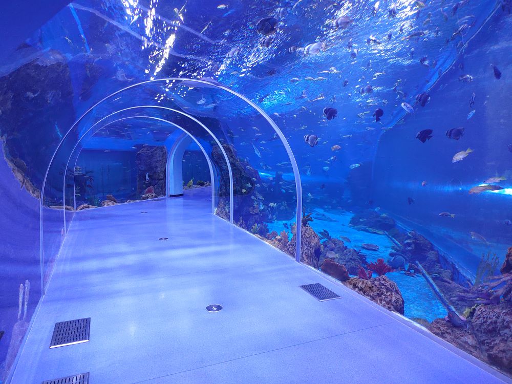 Acrylic Tunnel Xingcheng by Xchacrylic 2