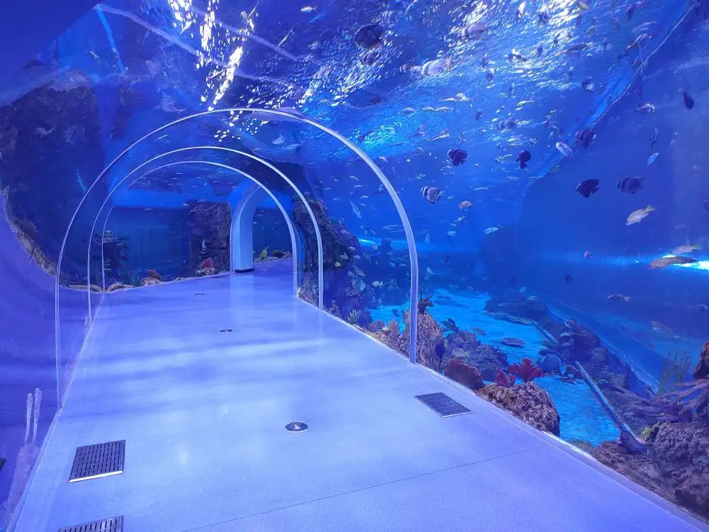 Acrylic Tunnel Xingcheng by Xchacrylic 2