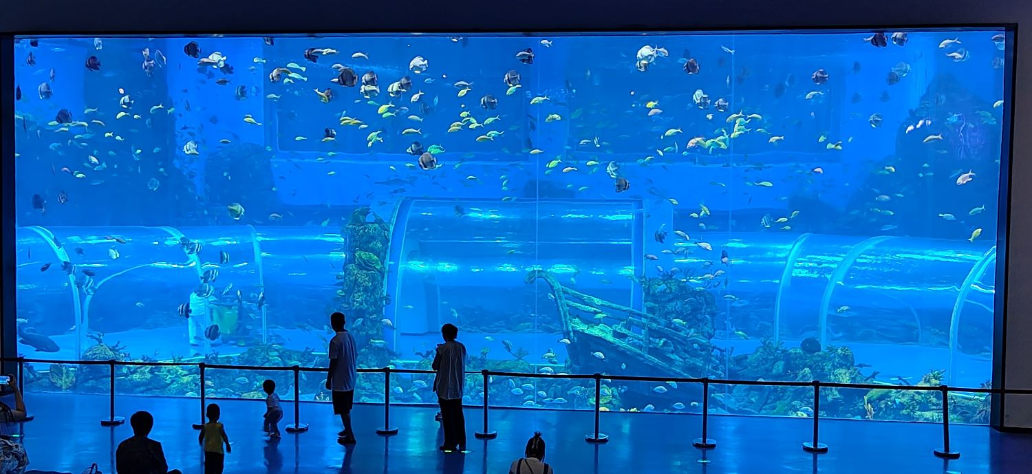 Xingcheng 2025 Tangki Ikan Akuarium Akrilik Tingkap Akrilik Besar 7
