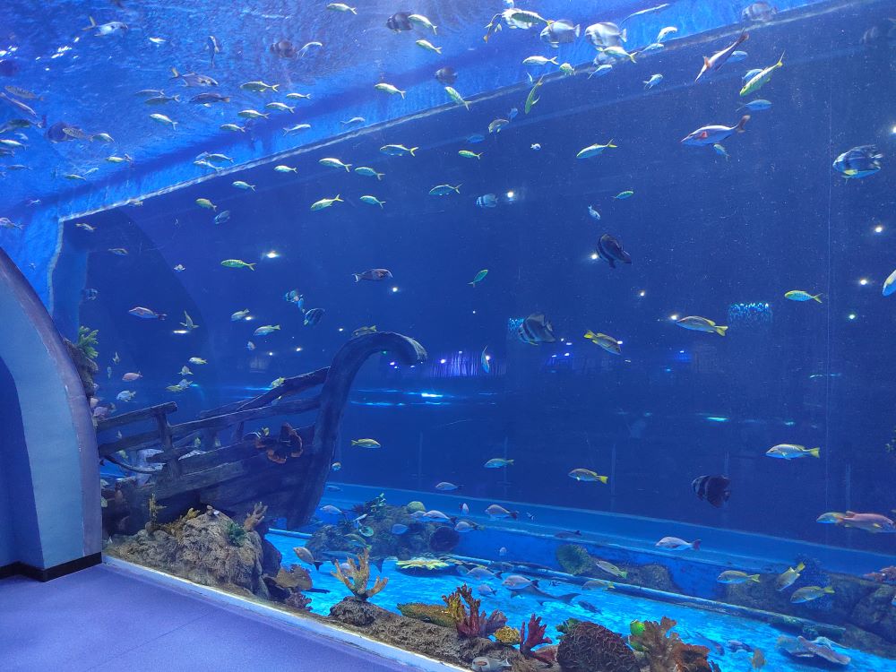 Xingcheng 2025 Tangki Ikan Akuarium Akrilik Tingkap Akrilik Besar 6