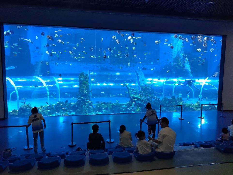 Xingcheng 2025 Tangki Ikan Akuarium Akrilik Tingkap Akrilik Besar 5