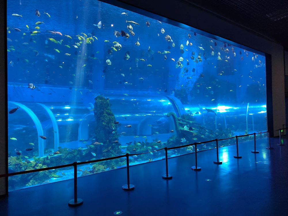 Xingcheng 2025 Tangki Ikan Akuarium Akrilik Tingkap Akrilik Besar 4