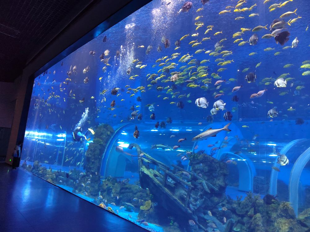 Xingcheng 2025 Tangki Ikan Akuarium Akrilik Tingkap Akrilik Besar 3
