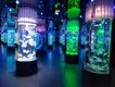 Acrylic Aquarium for Sale Clear - - Xchacrylic 5