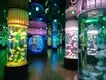 Acrylic Aquarium for Sale Clear - - Xchacrylic 7