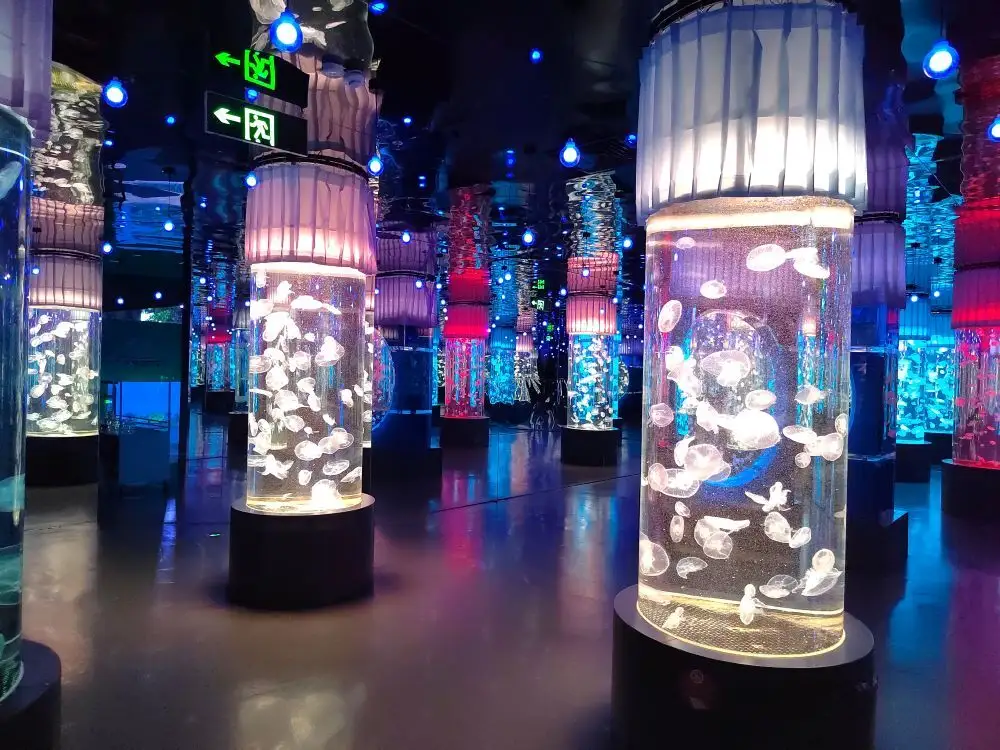 Acrylic Aquarium for Sale Clear - - Xchacrylic 4