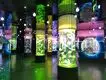 Acrylic Aquarium for Sale Clear - - Xchacrylic 3