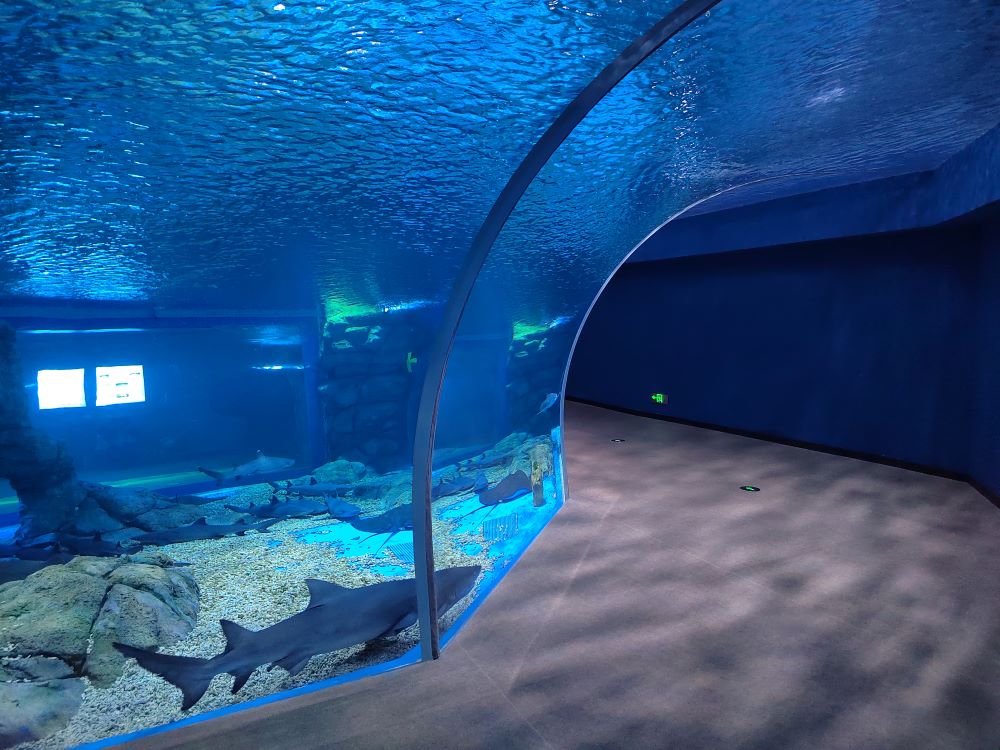 2025 Half-circular acrylic aquarium 6
